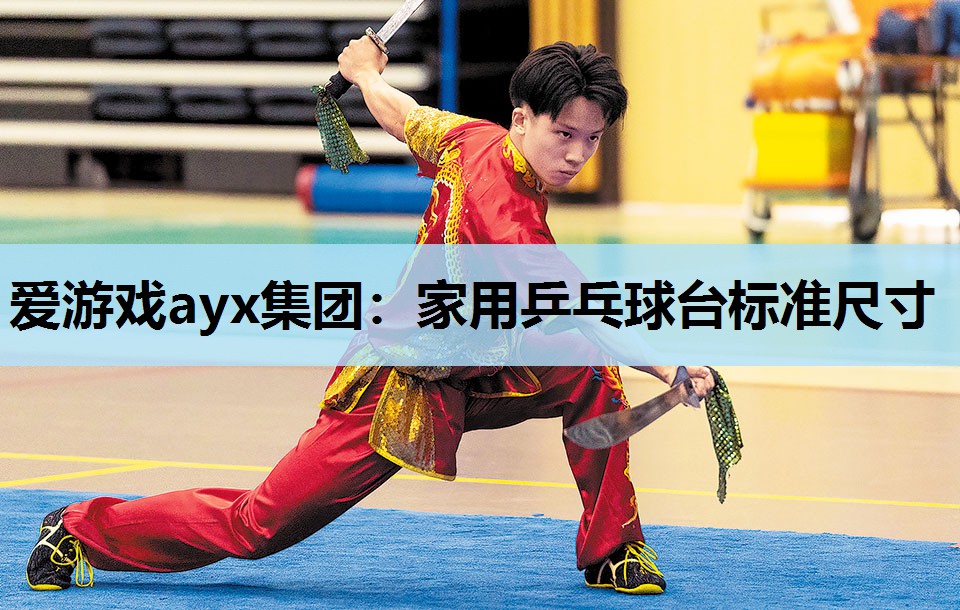 家用乒乓球台标准尺寸 家用乒乓球台标准尺寸