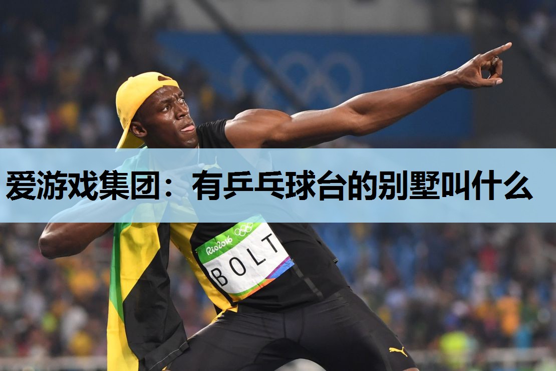 有乒乓球台的别墅叫什么 有乒乓球台的别墅叫什么