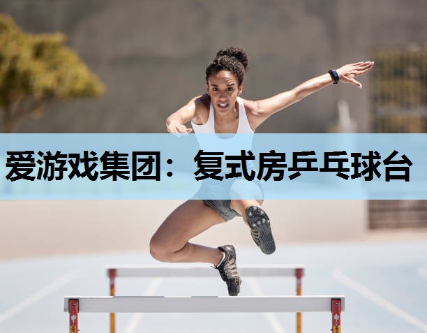 复式房乒乓球台 复式房乒乓球台