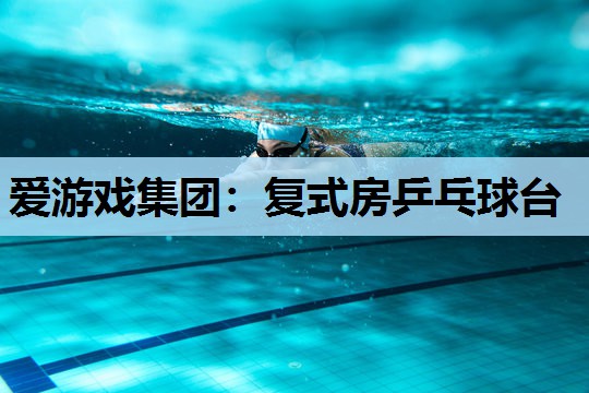 复式房乒乓球台 复式房乒乓球台