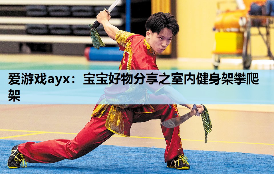 宝宝好物分享之室内健身架攀爬架 宝宝好物分享之室内健身架攀爬架