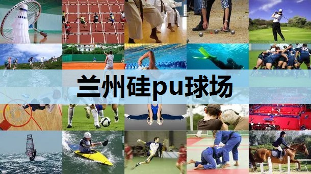 兰州硅pu球场 兰州硅pu球场