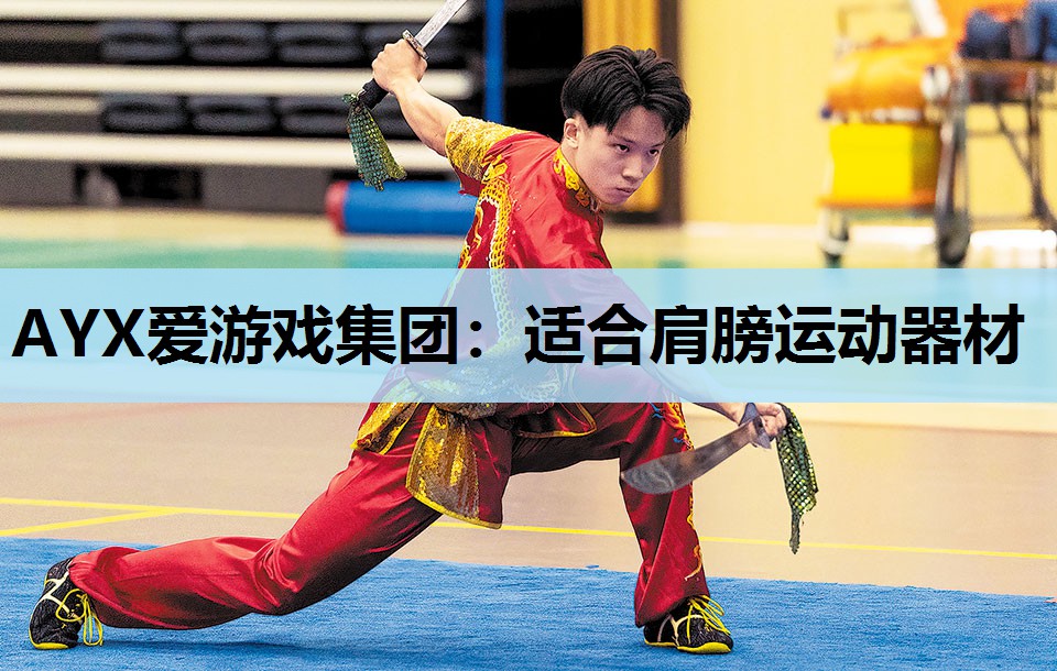 适合肩膀运动器材 适合肩膀运动器材
