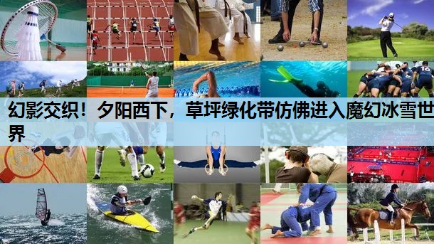 幻影交织!夕阳西下,草坪绿化带仿佛进入魔幻冰雪世界 幻影交织!夕阳西下,草坪绿化带仿佛进入魔幻冰雪世界
