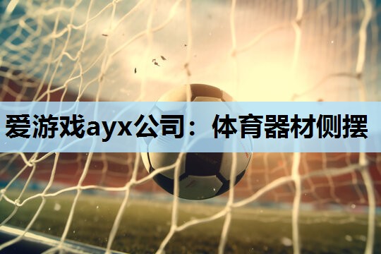 体育器材侧摆 体育器材侧摆