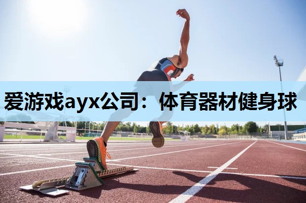 体育器材健身球 体育器材健身球