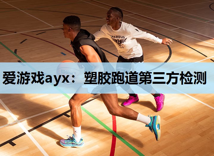 塑胶跑道第三方检测 塑胶跑道第三方检测
