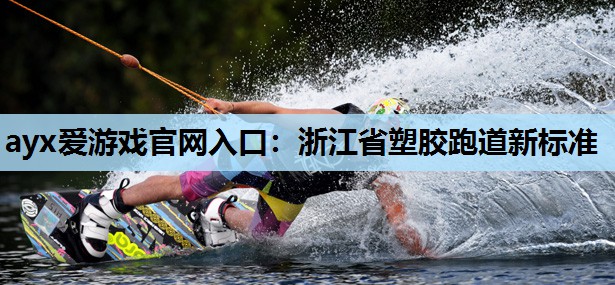 浙江省塑胶跑道新标准 浙江省塑胶跑道新标准