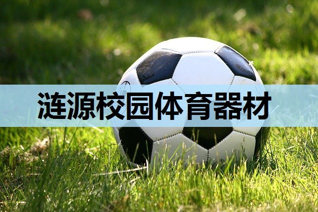 涟源校园体育器材 涟源校园体育器材