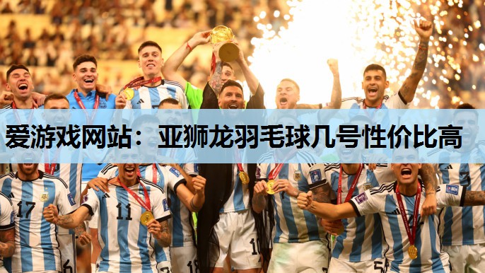 亚狮龙羽毛球几号性价比高 亚狮龙羽毛球几号性价比高