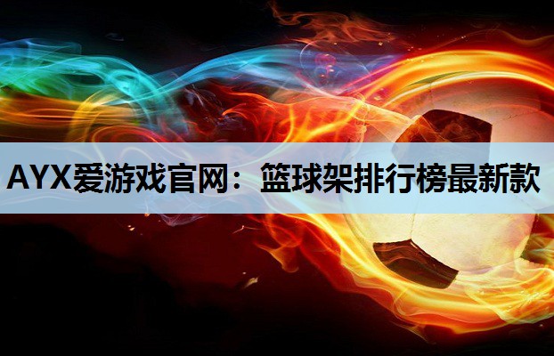 篮球架排行榜最新款