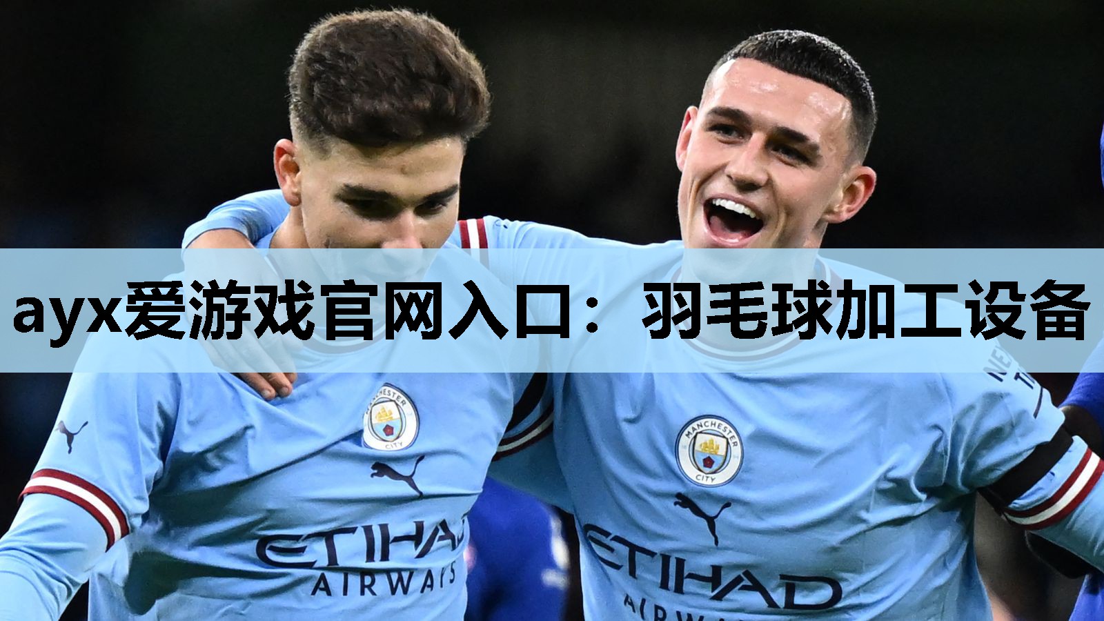 羽毛球加工设备