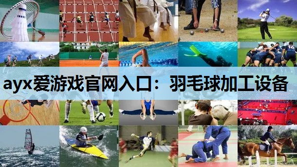 羽毛球加工设备